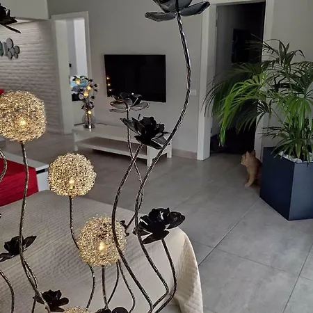 公寓 Luxury Townhouse 阿德耶