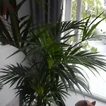 Luxury Townhouse Apartment Costa Adeje (Tenerife)