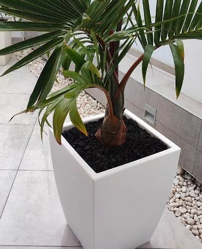 Luxury Townhouse Costa Adeje (Tenerife)